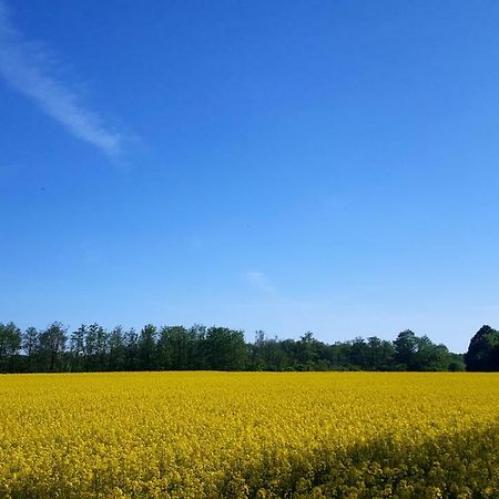 Ferienwohnung Urte In Putgarten , Kap Arkona Ruegen Exterior foto