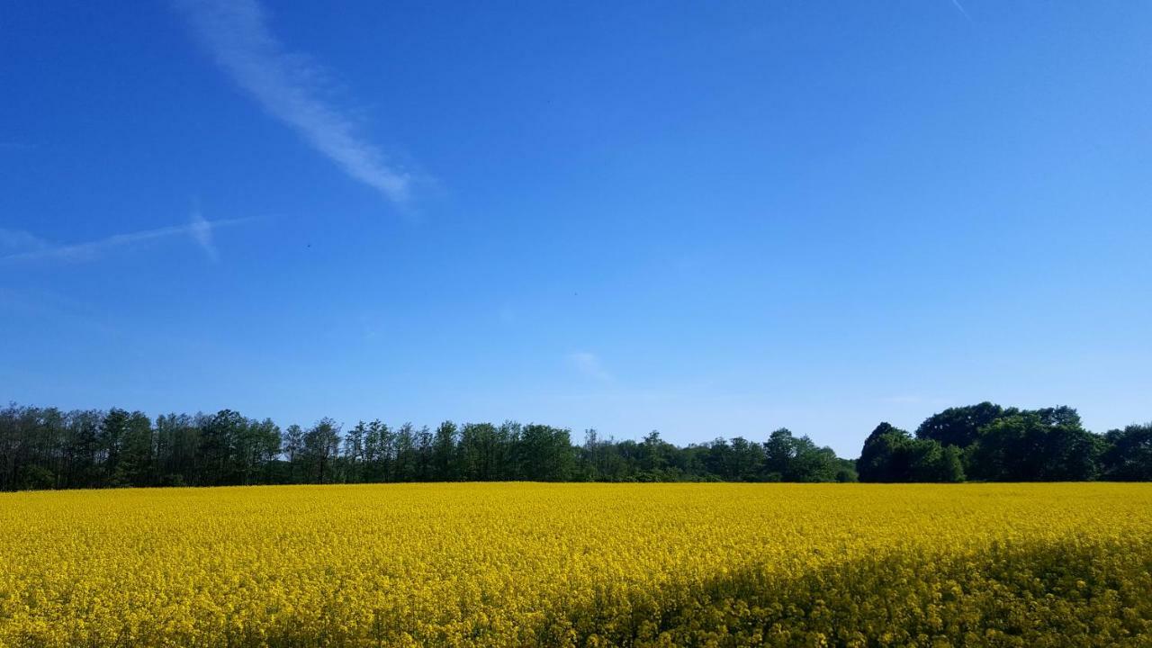 Ferienwohnung Urte In Putgarten , Kap Arkona Ruegen Exterior foto